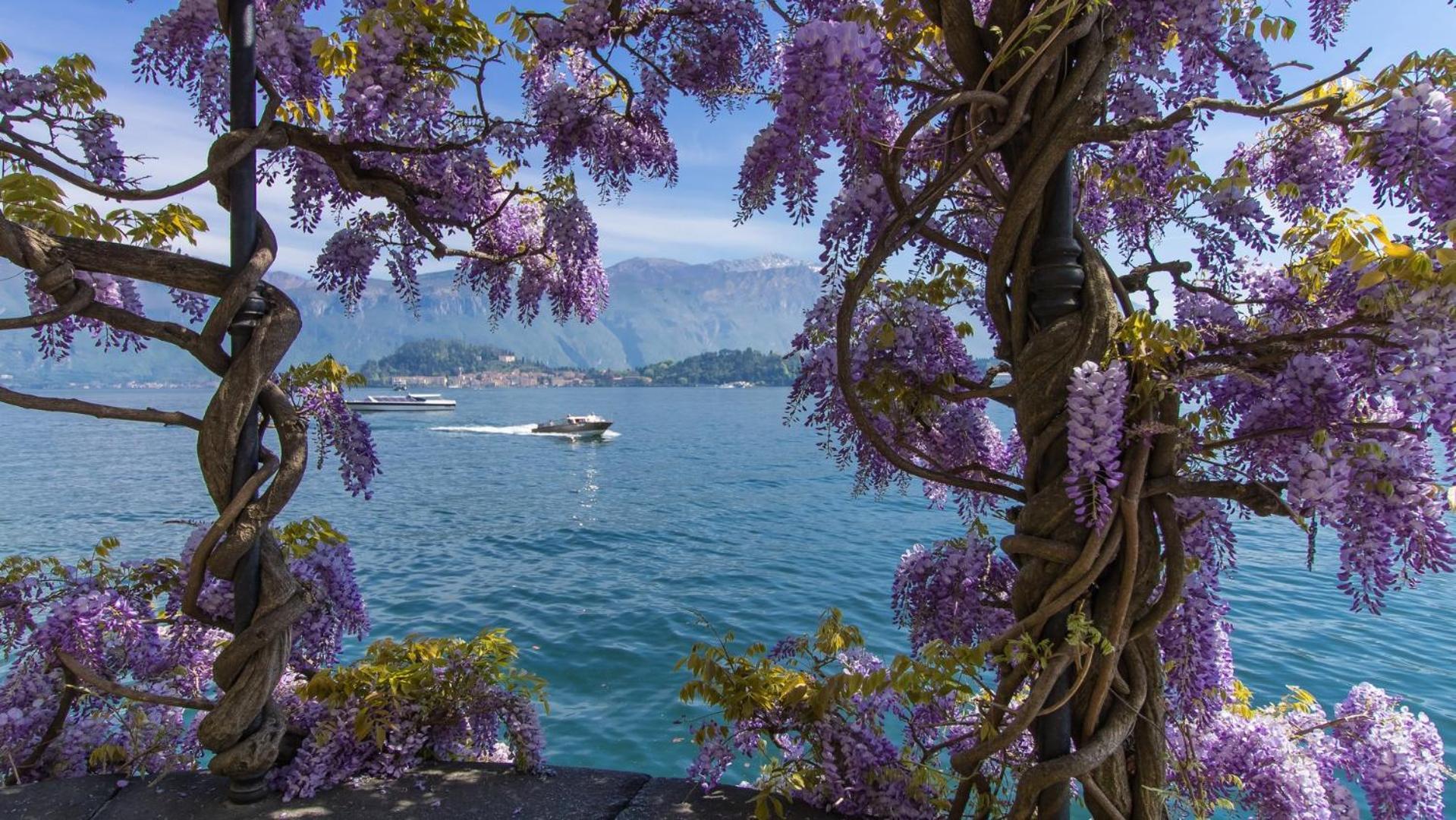 Residence Degli Oleandri 6A Argegno Dış mekan fotoğraf